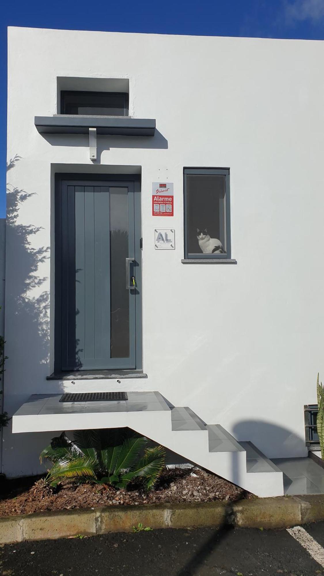 Caminhos Nos Levam Pela Ilha Apartment Ponta Delgada  Exterior photo